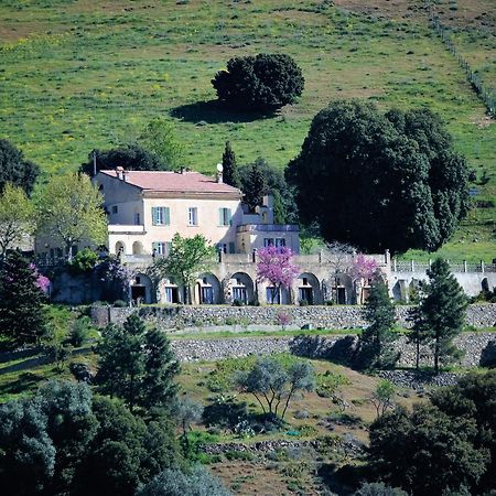 Bed and Breakfast La Ventulella Moltifao Zewnętrze zdjęcie