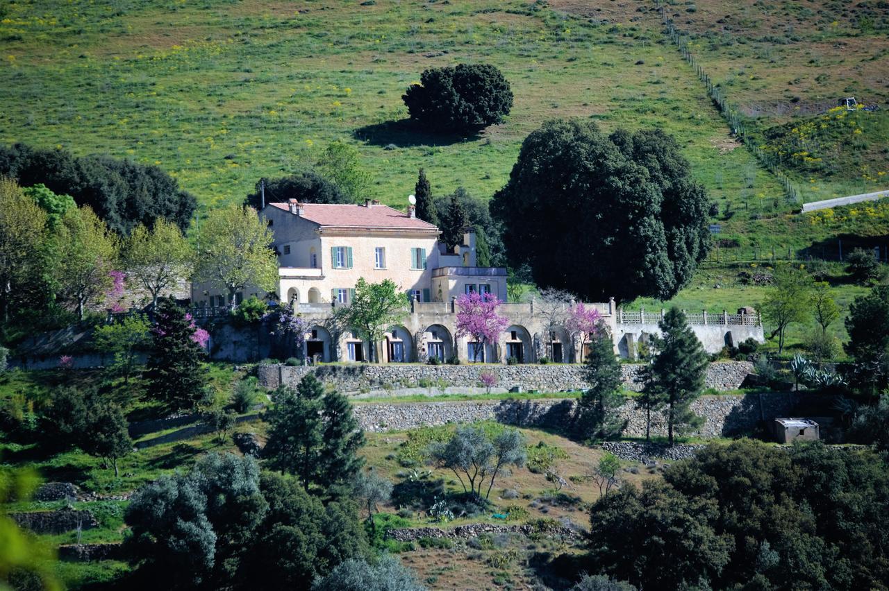 Bed and Breakfast La Ventulella Moltifao Zewnętrze zdjęcie